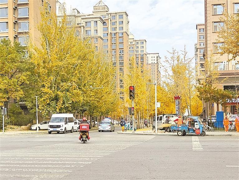 趕路再急，莫闖紅燈