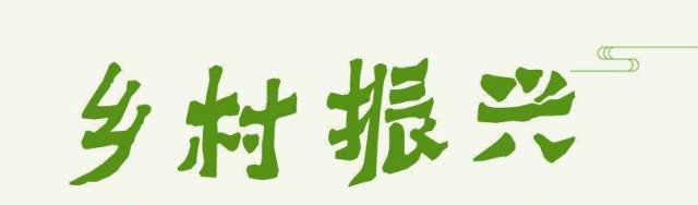 平羅縣常態(tài)化駐村機(jī)制讓鄉(xiāng)村振興有人才更有活力